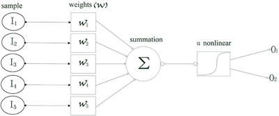 Predicting Grating Orientations With Cross-Frequency Coupling and Least Absolute Shrinkage and Selection Operator in V1 and V4 of Rhesus Monkeys